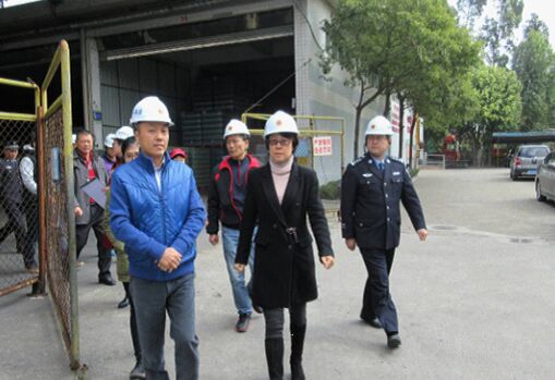 党政领导齐重视 牢把节后复工关