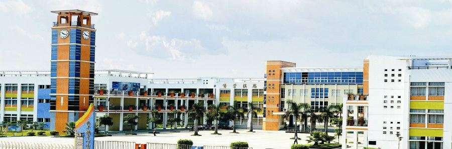 ��ƽ����Сѧ