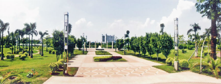 ���Ĺ�԰�ھ�