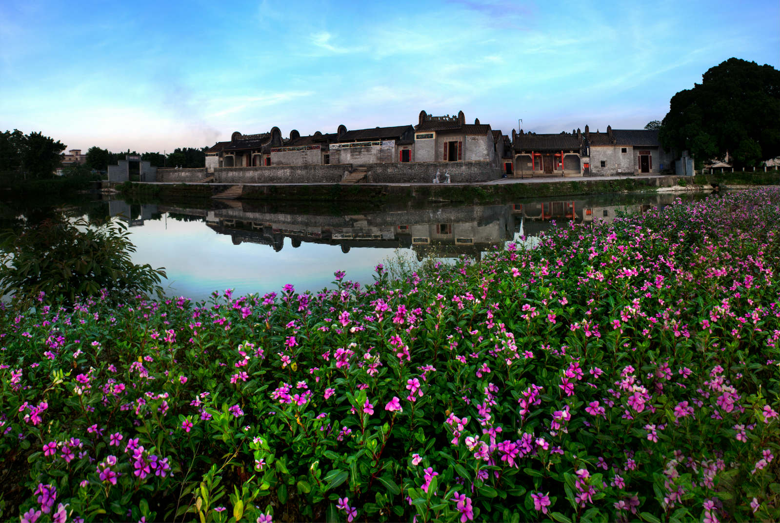 ����ͷ�Ŵ���